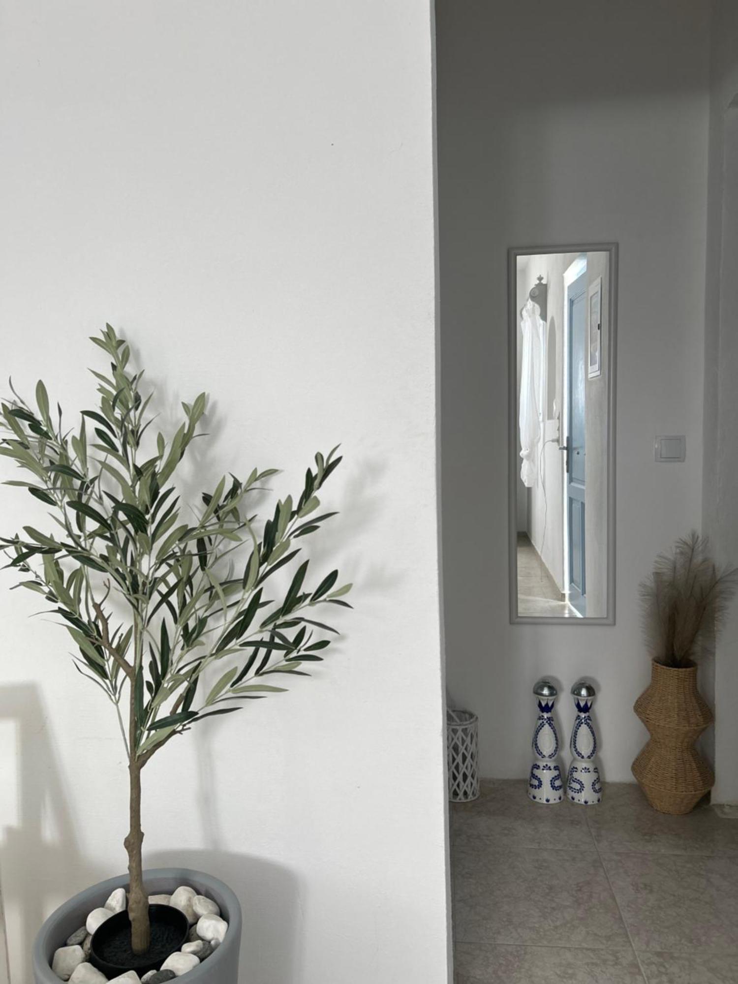 Cozam Mykonos Apartment Ano Mera Exterior foto